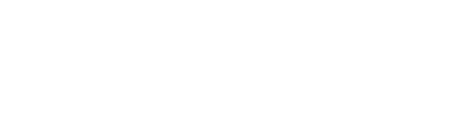 Noel Gallagher's High Flying Birds - White logo