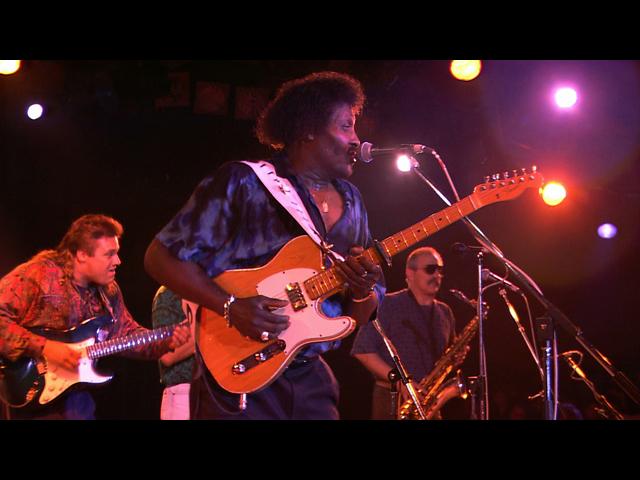 Albert Collins playing an electric guitar on stage with a band, including another guitarist and a saxophonist, under colorful stage lights.