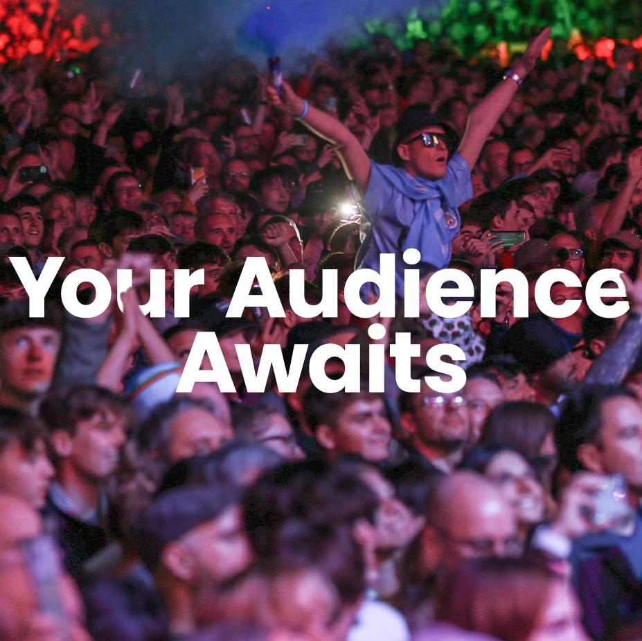 Your Audience section image
