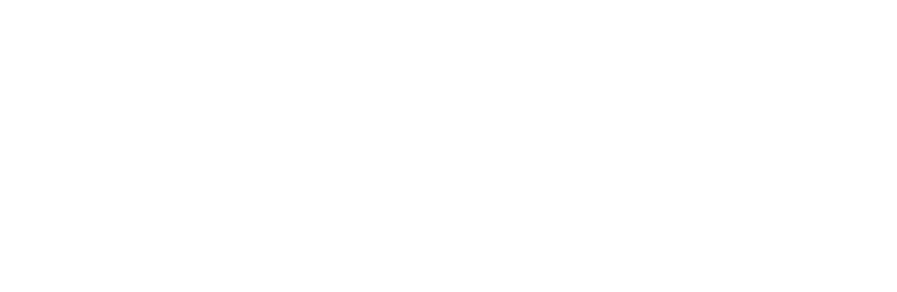 Lynyrd Skynyrd