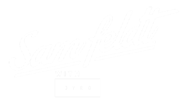 logo sam feldt with dyro live dj show on air