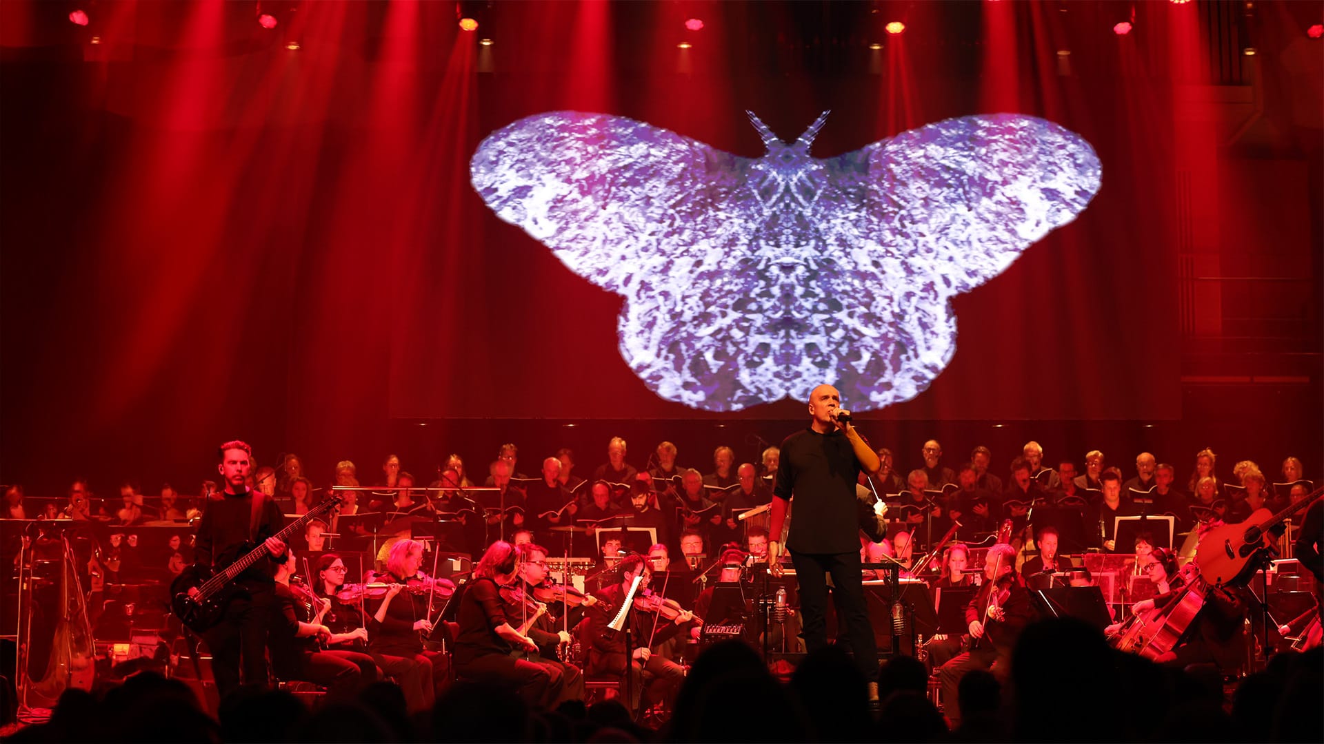 Behind Devin Townsend’s 'The Moth' Livestream in 4K