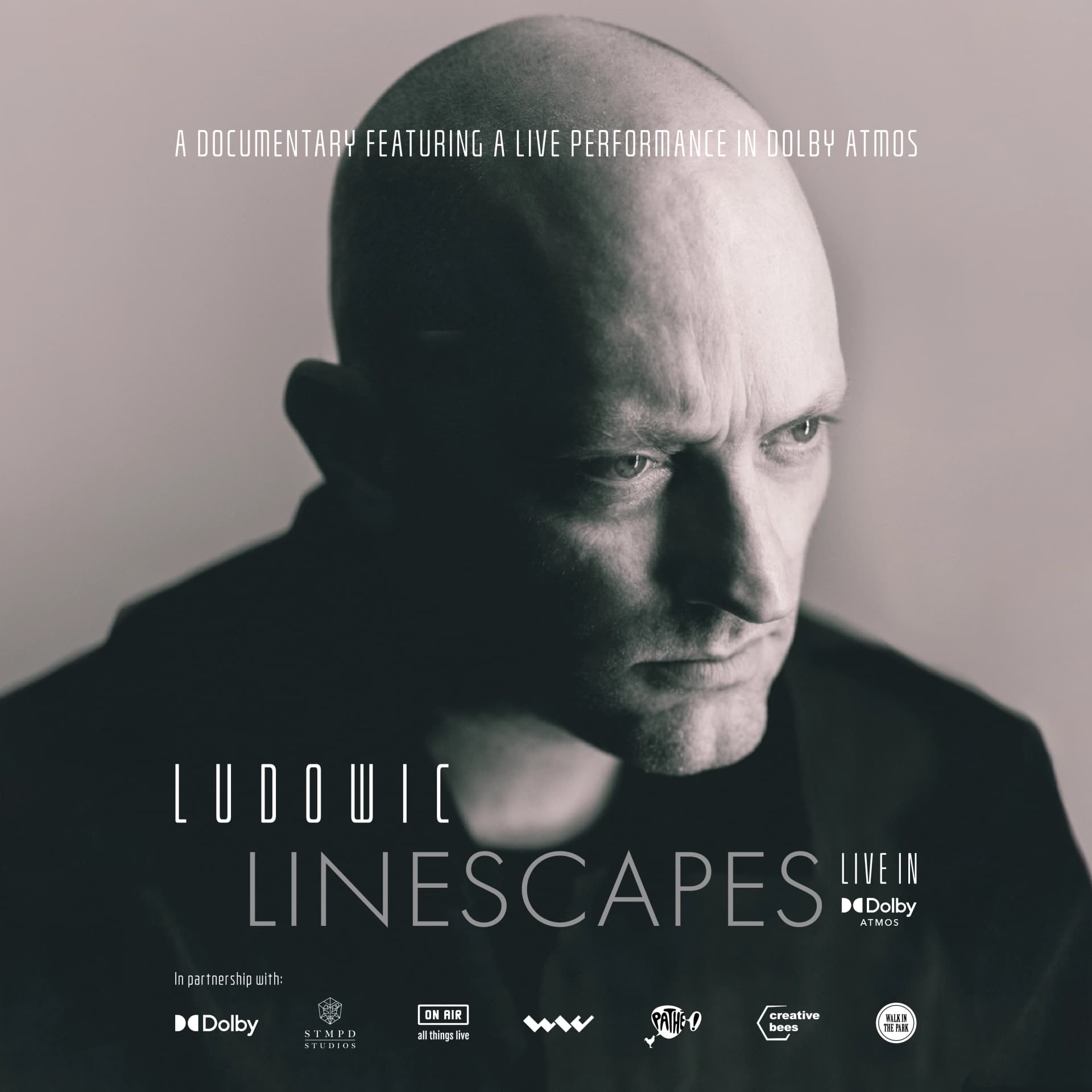 LudoWic Documentary artwork square